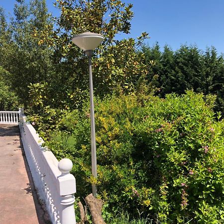 La Casona De La Carbayeda Villa Oviedo Ngoại thất bức ảnh